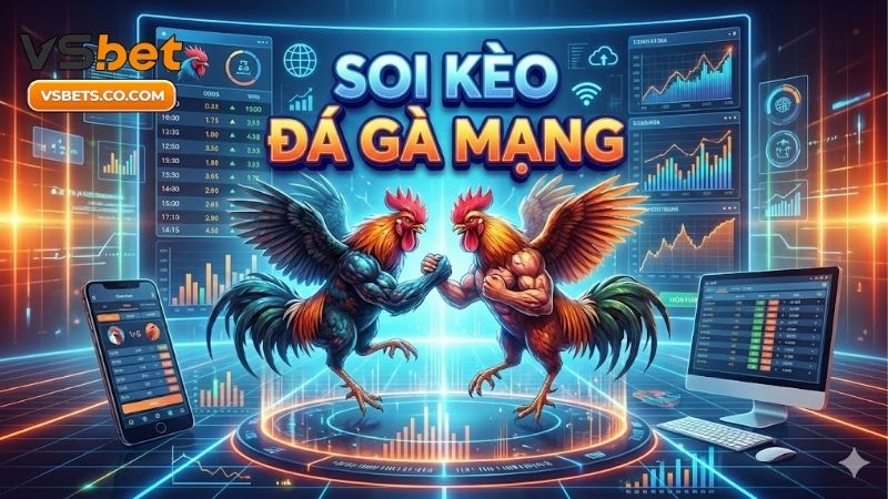 soi-keo-da-ga-mang-bi-quyet-chon-chien-ke-thang-ty-le-cao